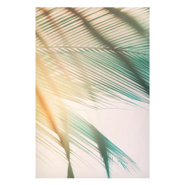 Billeder landskaber Tropical Plants Palm Trees At Sunset II