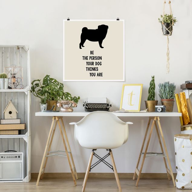 Plakater sort og hvid Thinking Pug
