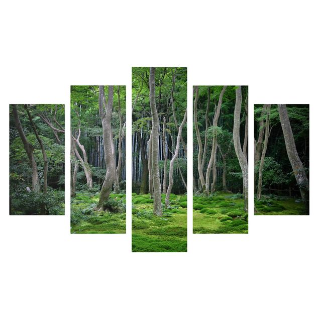 Billeder landskaber Japanese Forest