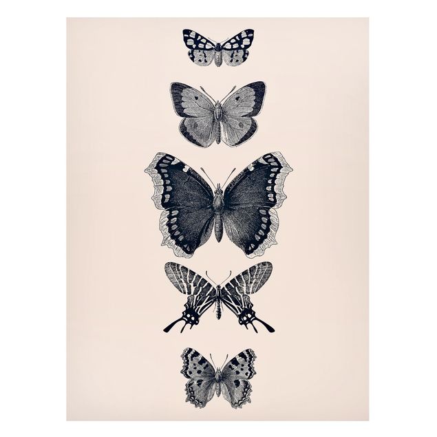 Billeder sommerfugle Ink Butterflies On Beige Backdrop