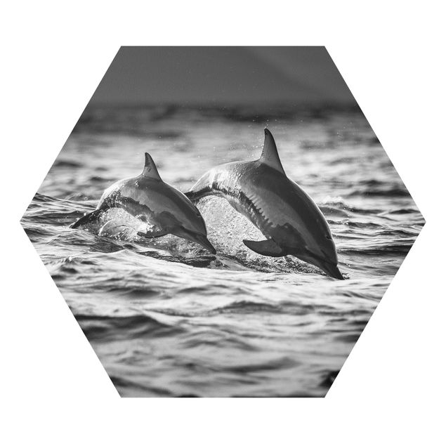 Forex Two Jumping Dolphins