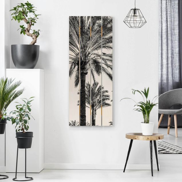 Prints på træ landskaber Palm Trees At Sunset Black And White