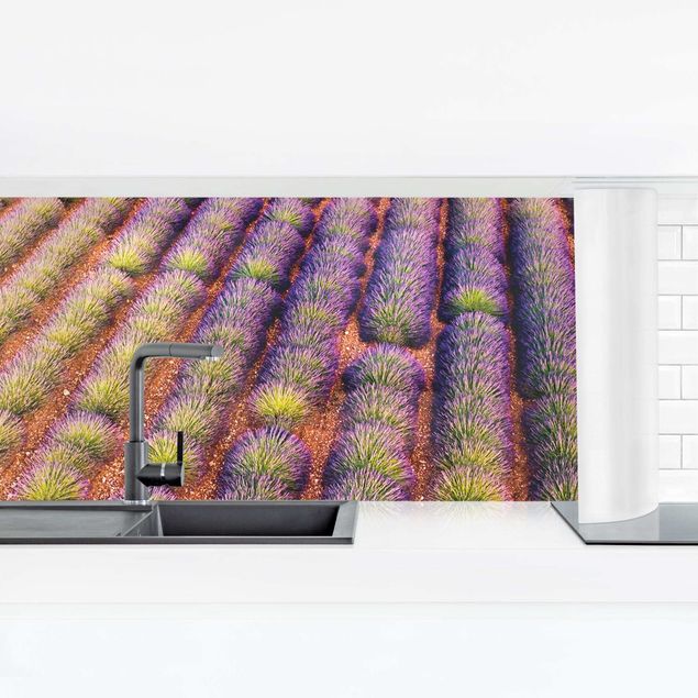 Stænkplader glas Picturesque Lavender Field