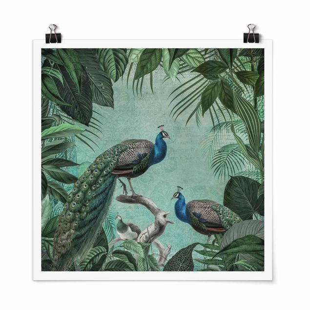 Plakater kunsttryk Shabby Chic Collage - Noble Peacock