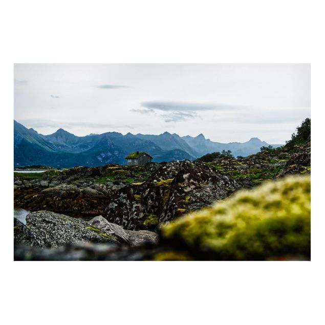 Billeder bjerge Desolate Hut In Norway