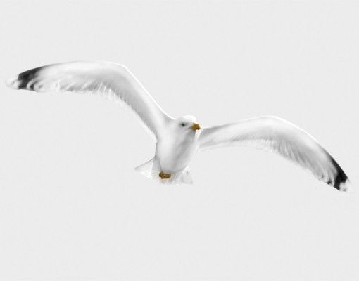 Vinduesklistermærker dyr Flying Gull