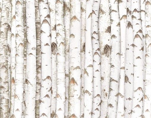 Selvklæbende folier No.YK15 Birch Wall