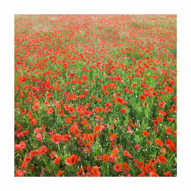 gulvtæppe rød Poppy Field