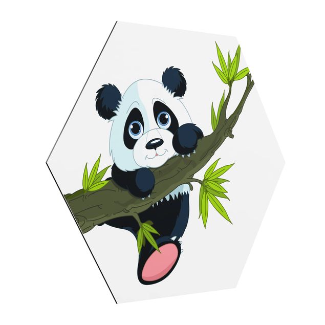 Billeder landskaber Climbing Panda
