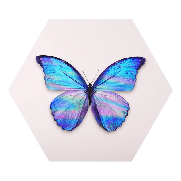 Billeder moderne Holographic Butterfly