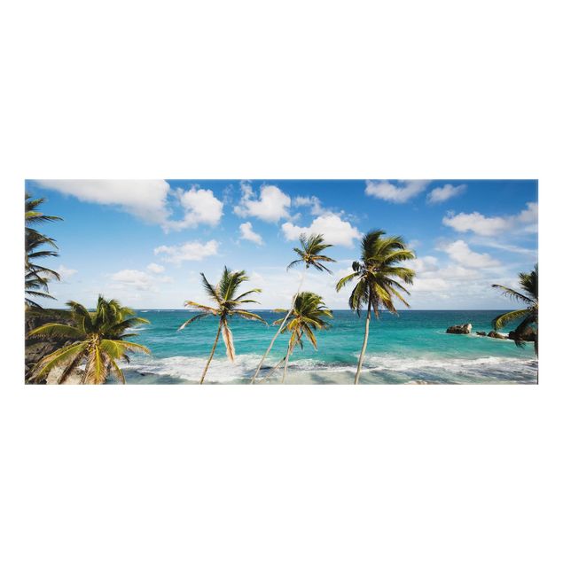 Spritzschutz Glas - Beach of Barbados - Panorama - 5:2