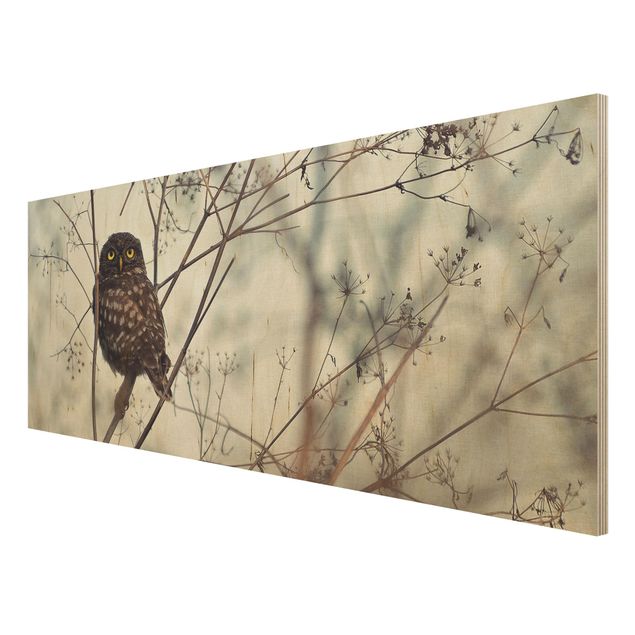 Prints på træ Owl In The Winter