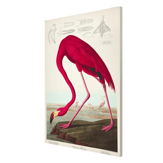 Billeder blomster Vintage Board American Flamingo
