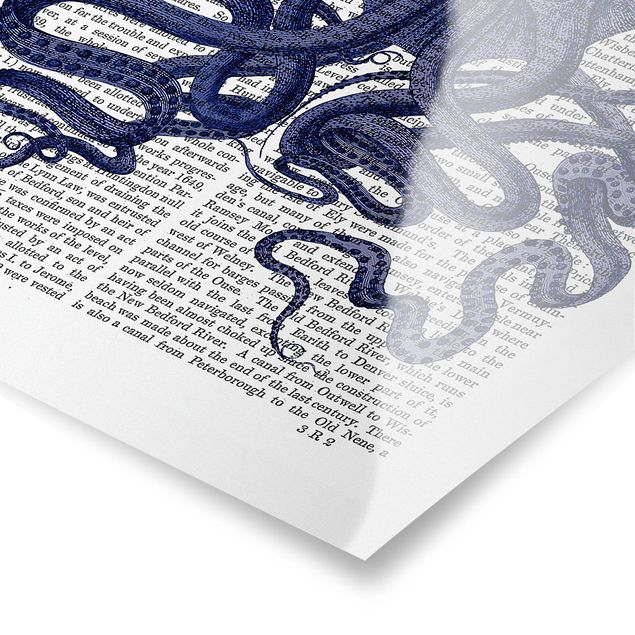Billeder Animal Reading - Octopus
