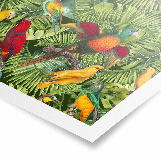 Plakater kunsttryk Colourful Collage - Parrots In The Jungle