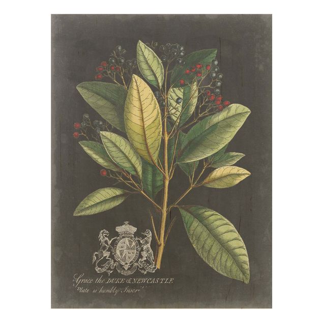 Prints på træ blomster Vintage Royales Foliage On Black IV