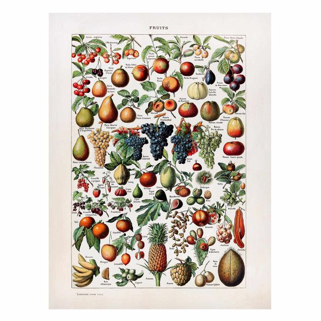 Billeder frugt Vintage Board Fruits