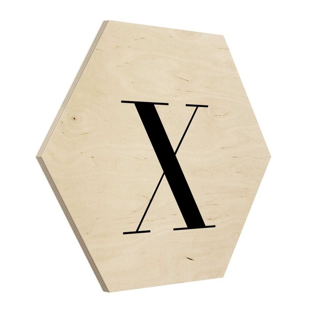 Sekskantede billeder Letter Serif White X