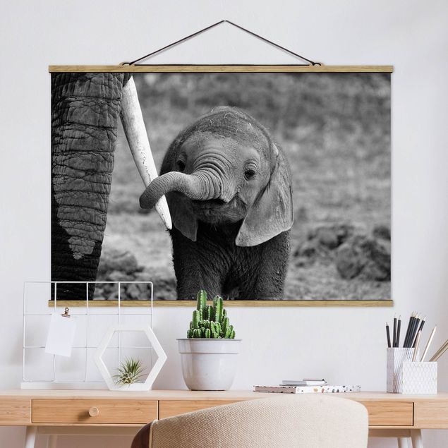 køkken dekorationer Baby Elephant