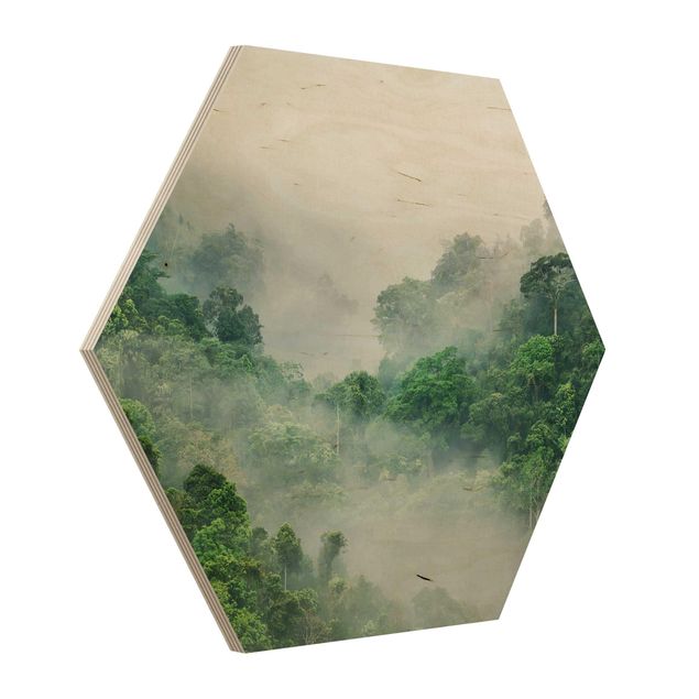 Billeder Jungle In The Fog