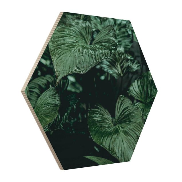 Sekskantede billeder Tropical Plants I