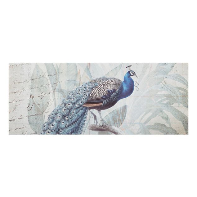 Billeder Andrea Haase Shabby Chic Collage - Peacock