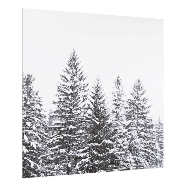 Billeder Monika Strigel Dark Winter Landscape