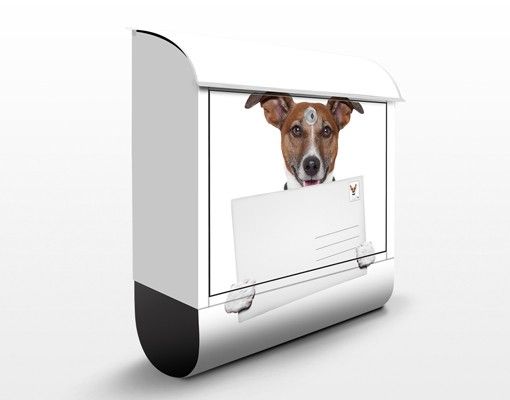 Postkasser dyr Dog With Letter