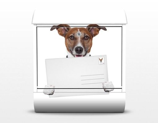 Postkasser Dog With Letter
