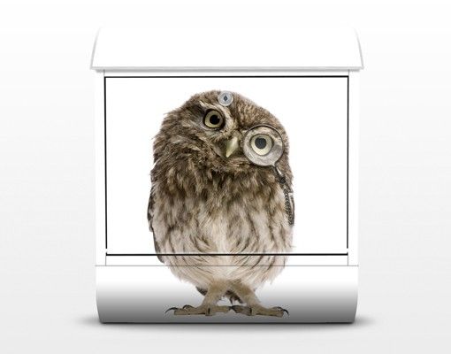 Postkasser Curious Owl