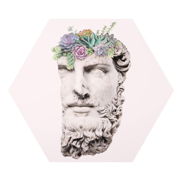 Forex Head With Succulents
