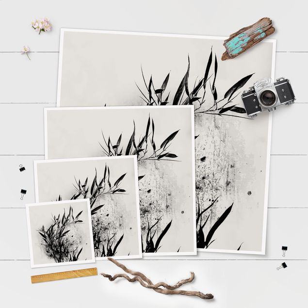 Billeder sort og hvid Graphical Plant World - Black Bamboo