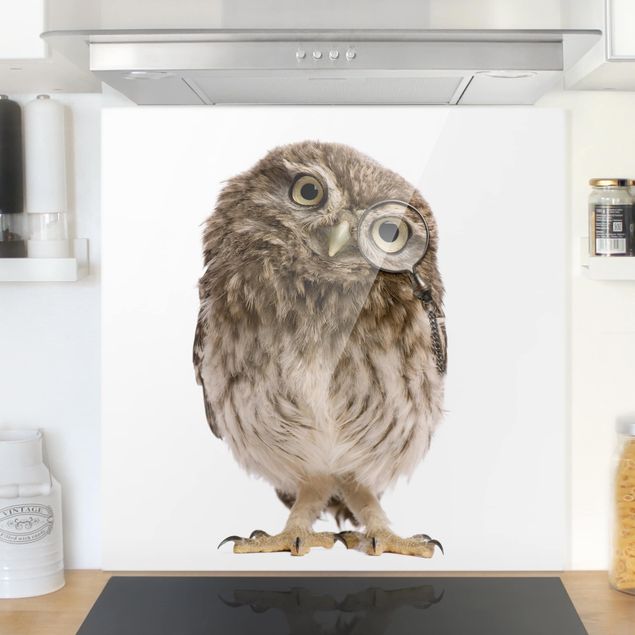 køkken dekorationer Curious Owl