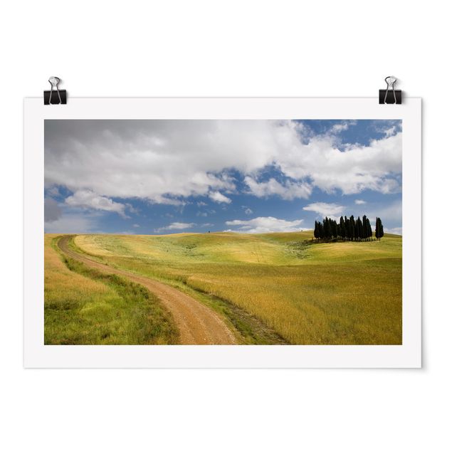Plakater landskaber Cypresses In Tuscany