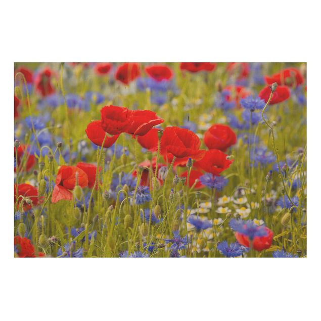 Prints på træ blomster Summer Meadow With Poppies And Cornflowers