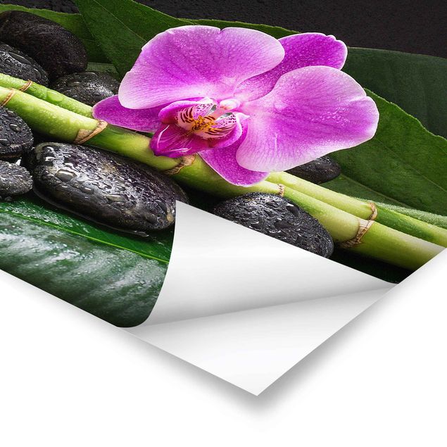 Billeder grøn Green Bamboo With Orchid Flower