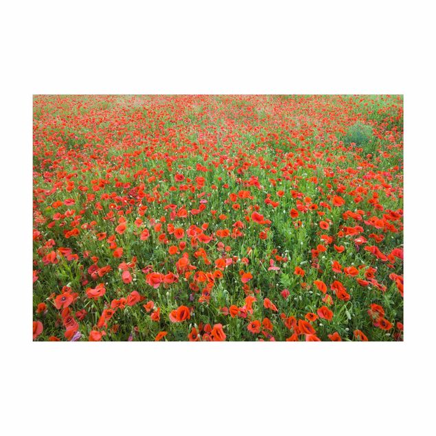 rødt gulvtæppe Poppy Field