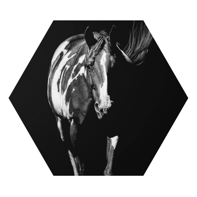 Billeder sort og hvid Horse In The Dark