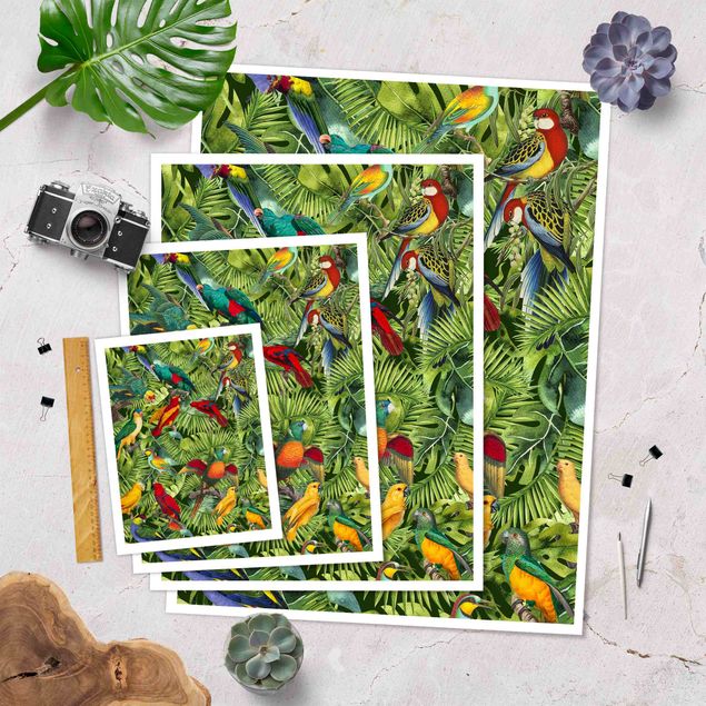 Billeder Colourful Collage - Parrots In The Jungle