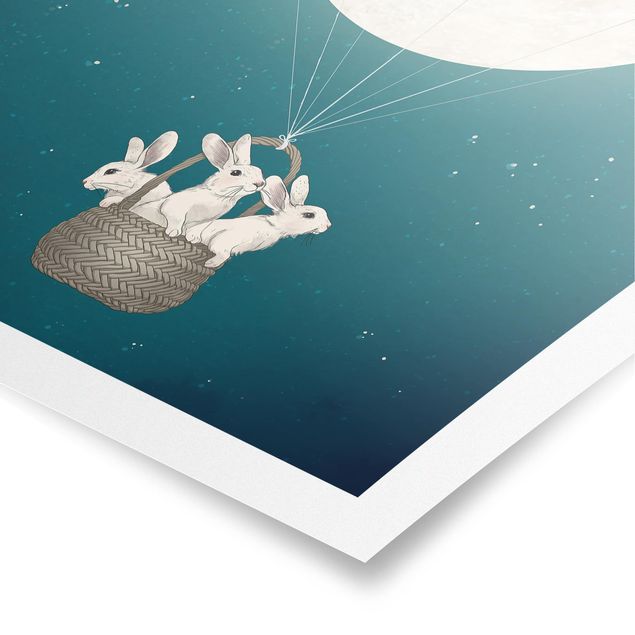 Billeder turkis Illustration Rabbits Moon As Hot-Air Balloon Starry Sky