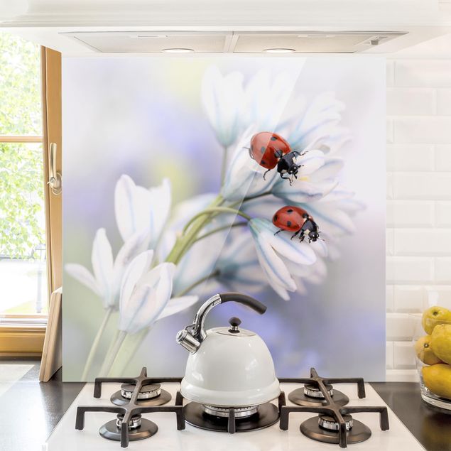 køkken dekorationer Ladybug On Flowers