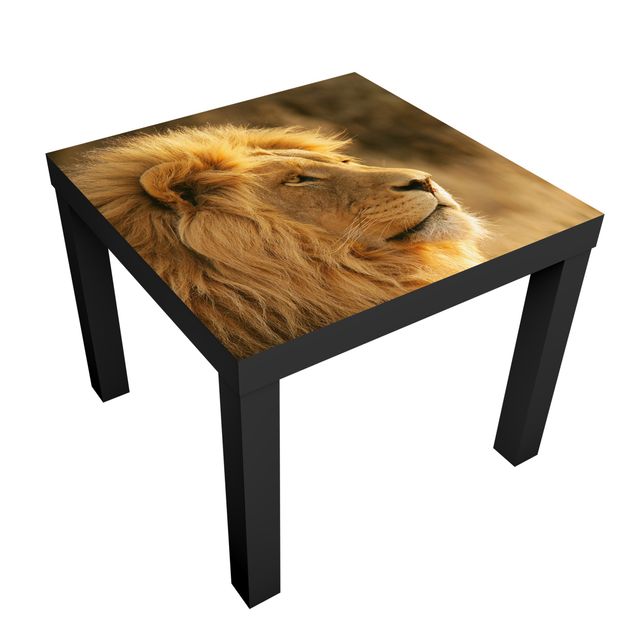 Møbelfolier King Lion