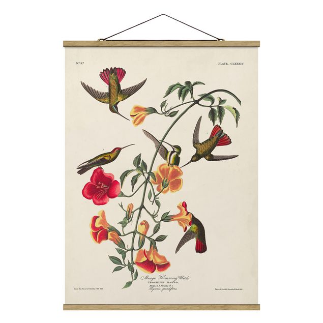 Billeder retro Vintage Board Mango Hummingbirds