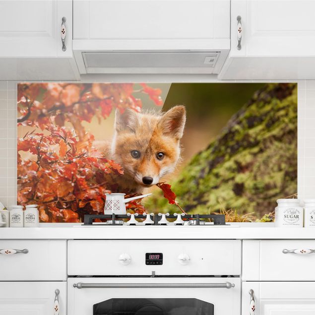 køkken dekorationer Fox in Autumn