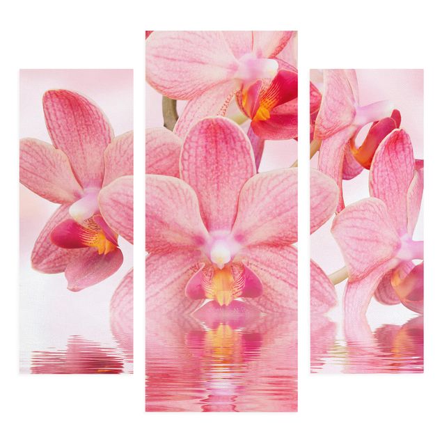 Billeder blomster Light Pink Orchid On Water