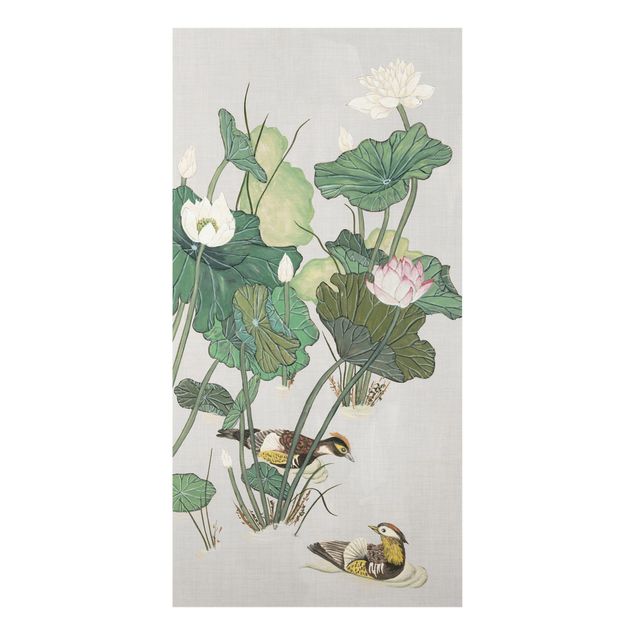 Billeder blomster Vintage Illustration Of Lotus Flowers In The Pond