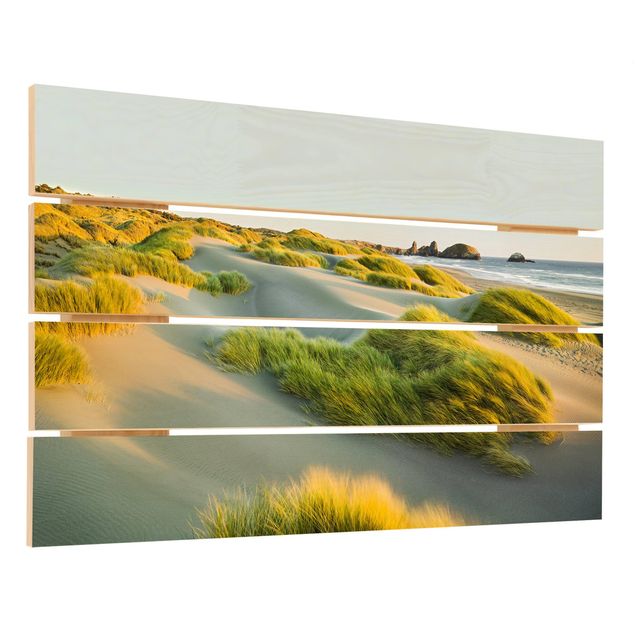 Billeder Rainer Mirau Dunes And Grasses At The Sea