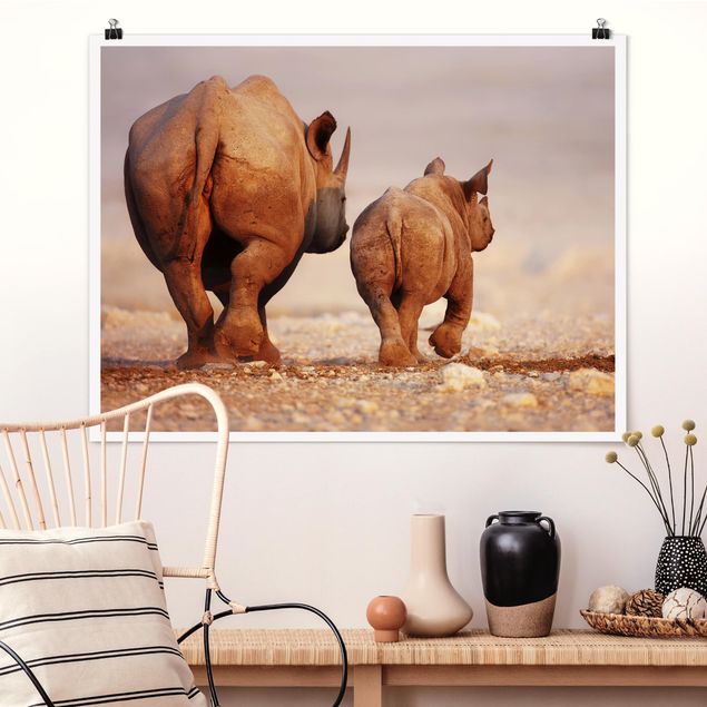 køkken dekorationer Wandering Rhinos