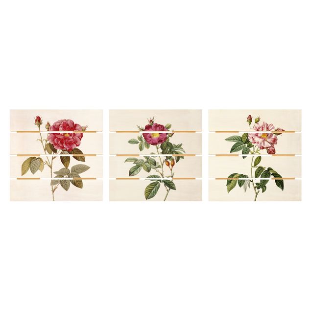 Prints på træ vintage Pierre Joseph Redouté - Roses