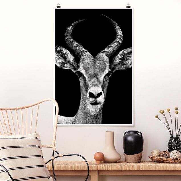 køkken dekorationer Impala antelope black and white